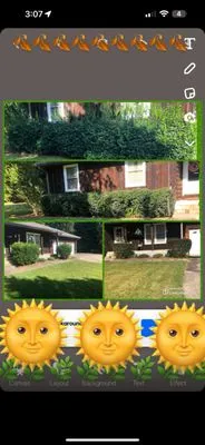 Complete Yard Care Logo