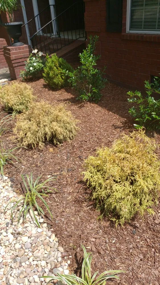 Trusted lawn care service in Murfreesboro, TN by Complete Yard Care