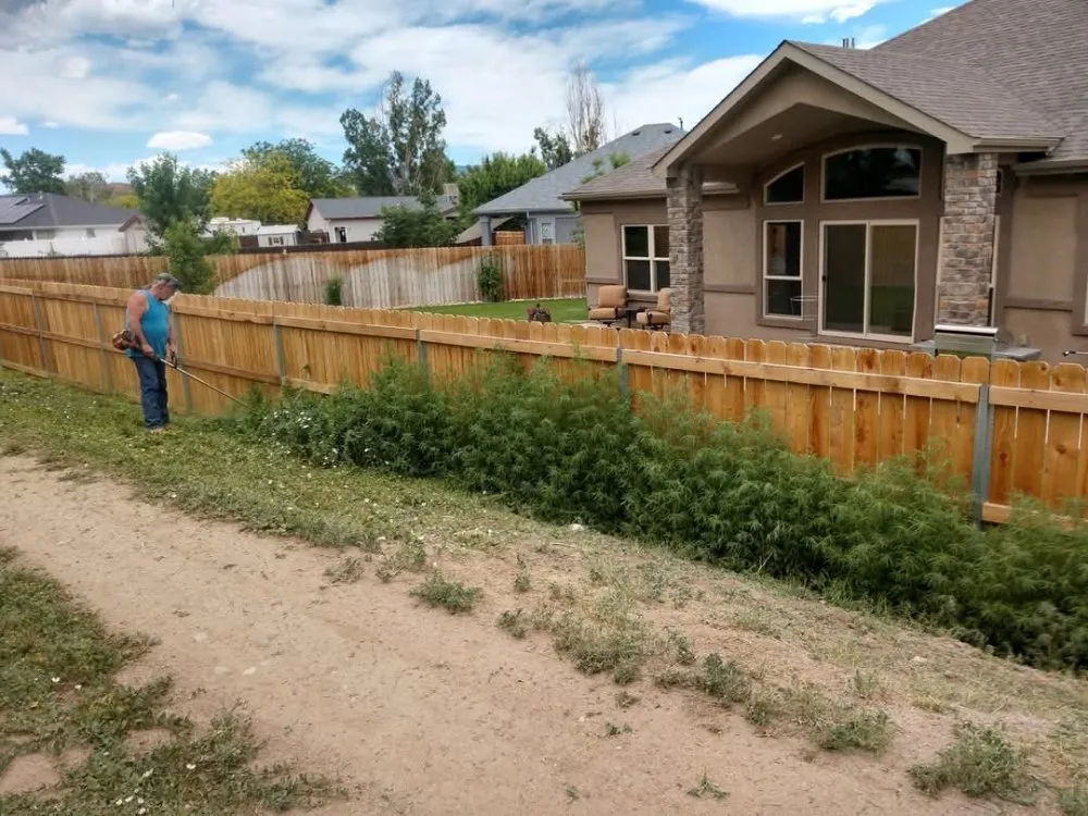 Professional lawn care service for outdoor upgrades in Florence, CO by Complete Yard Service