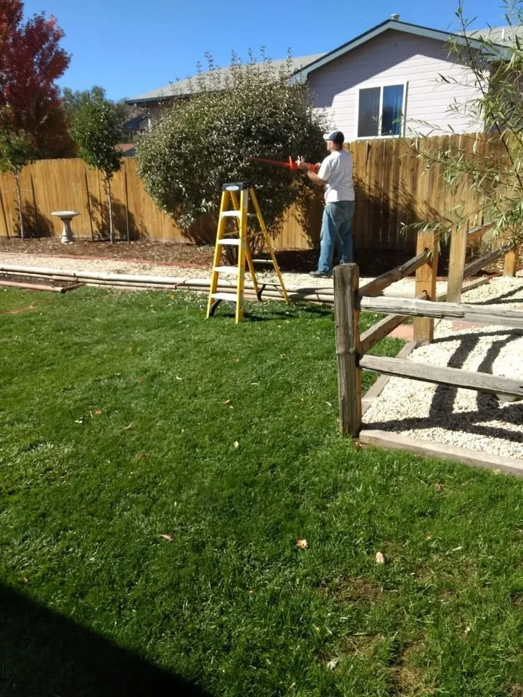 Custom yard cleanup service in Florence, CO - Complete Yard Service