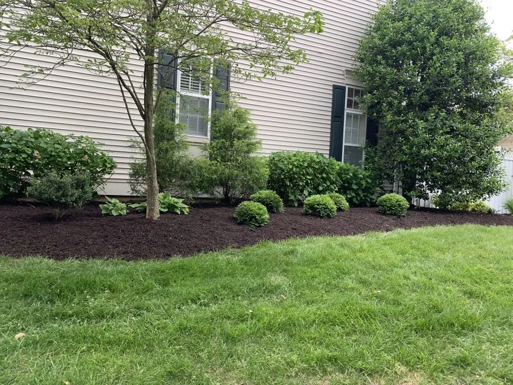 Custom lawn mowing service in Toms Brook, VA - Completely Devoted