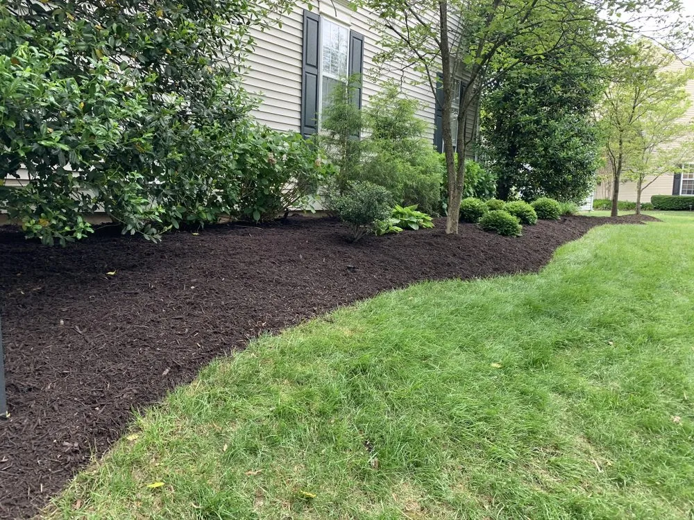 Top-rated outdoor landscaping experts serving Toms Brook, VA - Completely Devoted