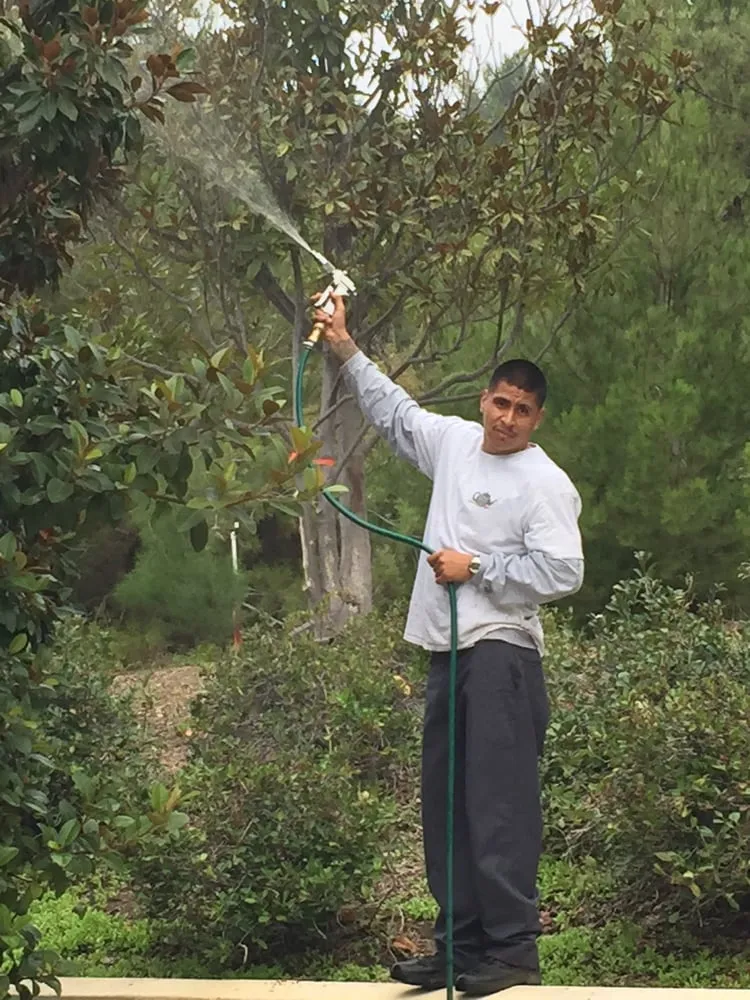 Affordable outdoor landscaping experts serving Los Angeles, CA - Compost Teana's Organic Landscapes