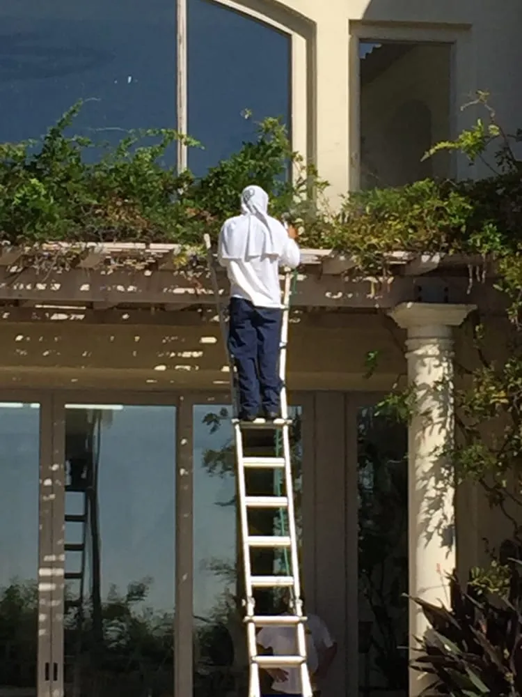 Reliable lawn care service in Los Angeles, CA - Compost Teana's Organic Landscapes