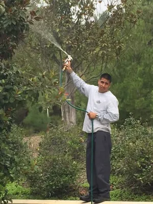 Compost Teana's Organic Landscapes Logo