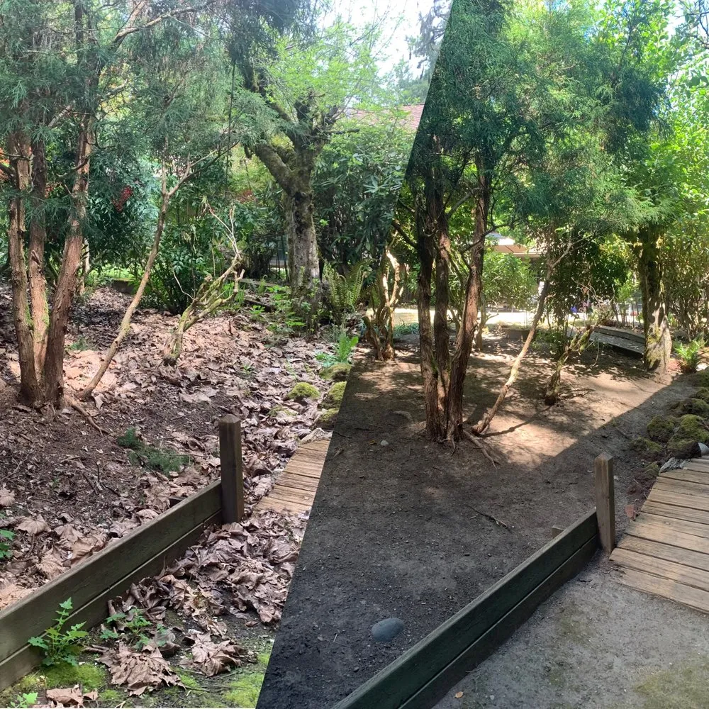 Custom outdoor landscaping for beautiful yards across Hillsboro, OR - Comprehensive Lawn & Grounds Maintenance