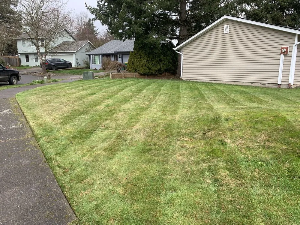 Reliable yard cleanup service near you in Hillsboro, OR by Comprehensive Lawn & Grounds Maintenance