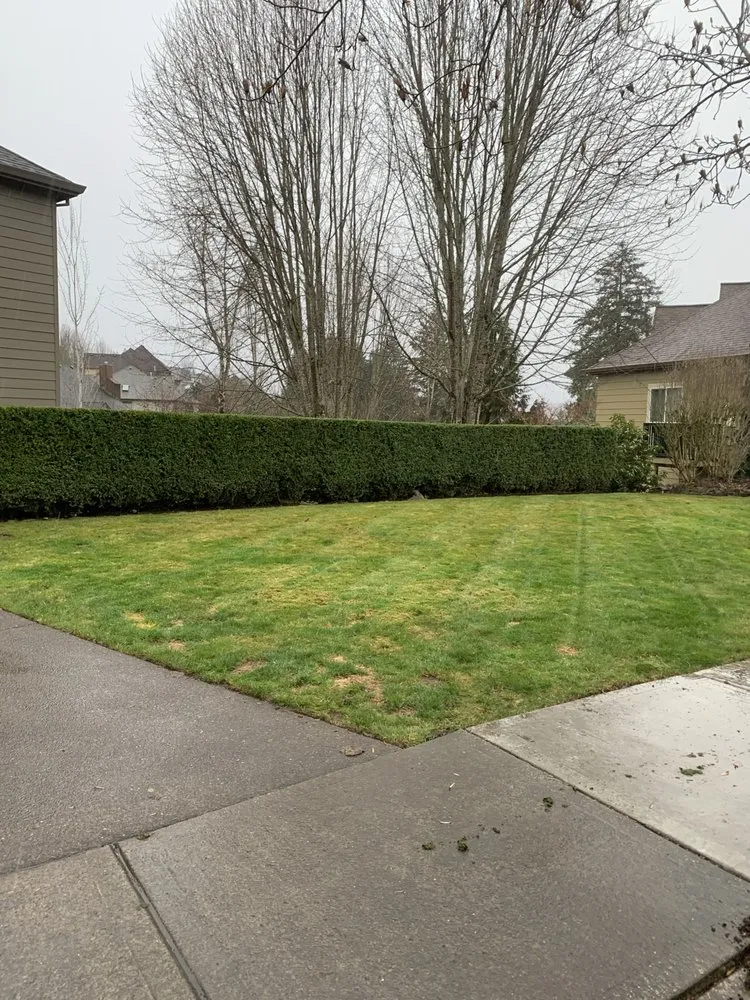 Top-rated lawn care service with custom design across Hillsboro, OR - Comprehensive Lawn & Grounds Maintenance