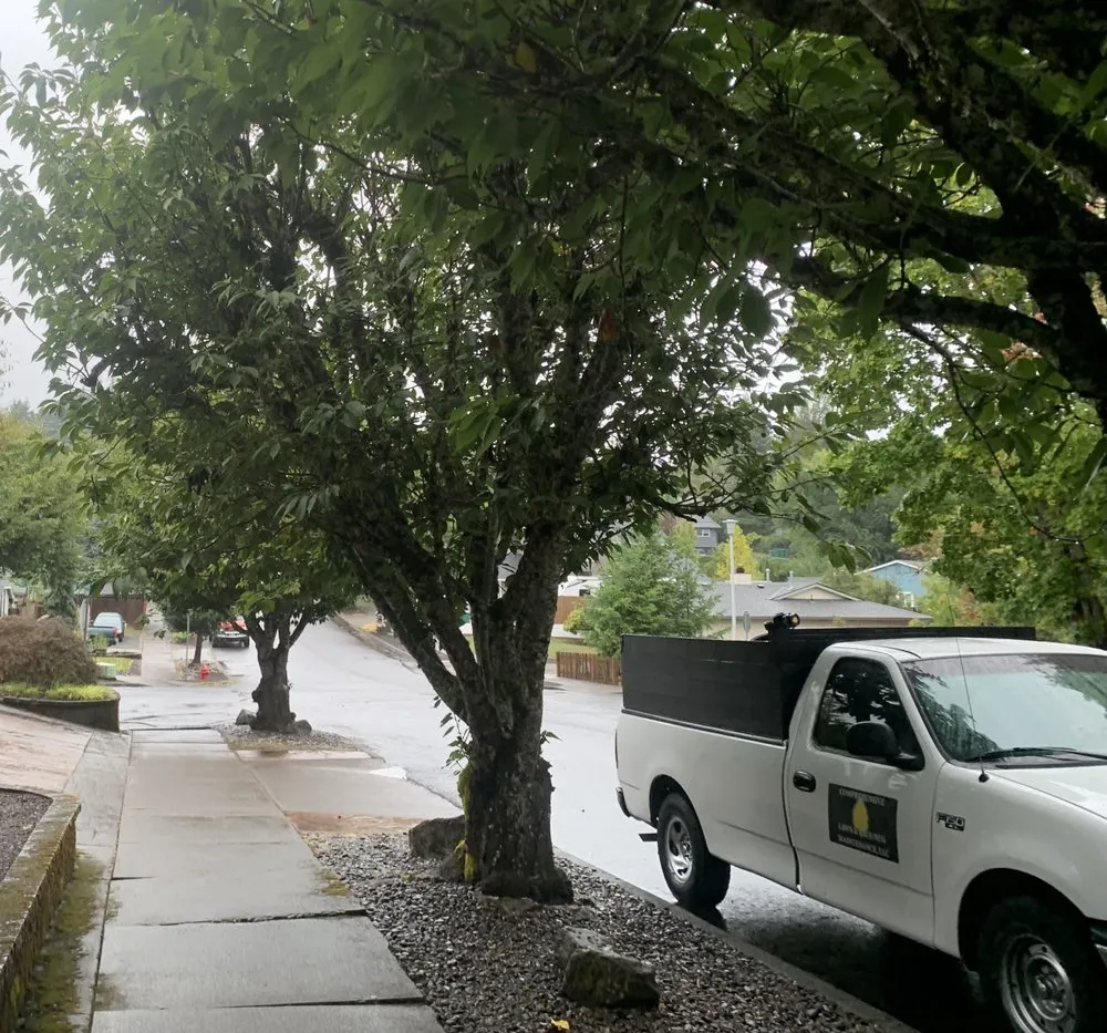 Trusted lawn care service in Hillsboro, OR - Comprehensive Lawn & Grounds Maintenance