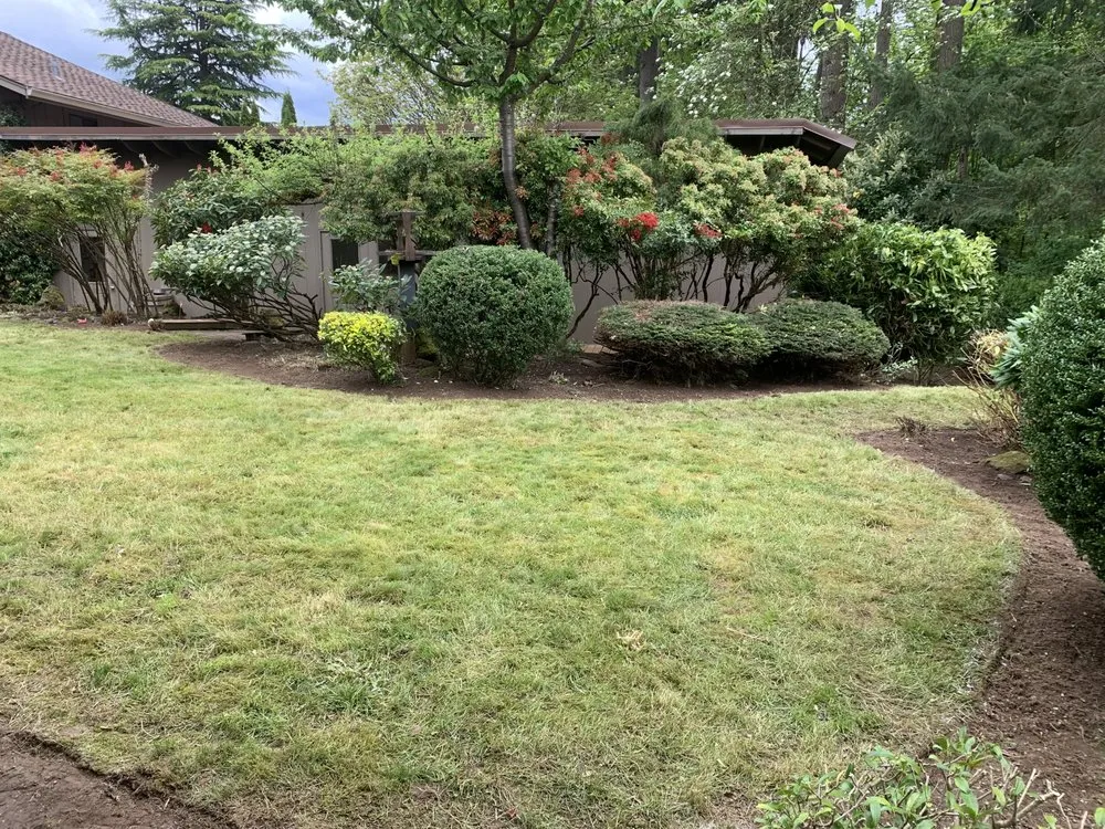 Expert yard cleanup service in Hillsboro, OR by Comprehensive Lawn & Grounds Maintenance
