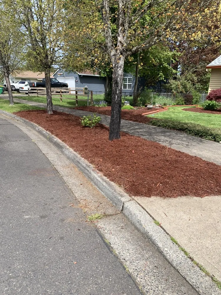 Expert yard cleanup service experts serving Hillsboro, OR - Comprehensive Lawn & Grounds Maintenance