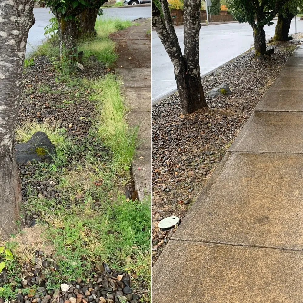 Custom landscaping services for homes across Hillsboro, OR - Comprehensive Lawn & Grounds Maintenance