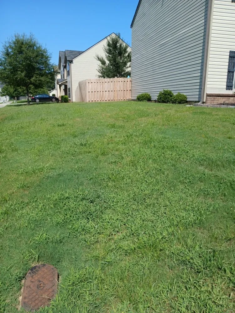 Top-rated landscaping services for residential properties in Douglasville, GA by Comprehensive Lawn Care