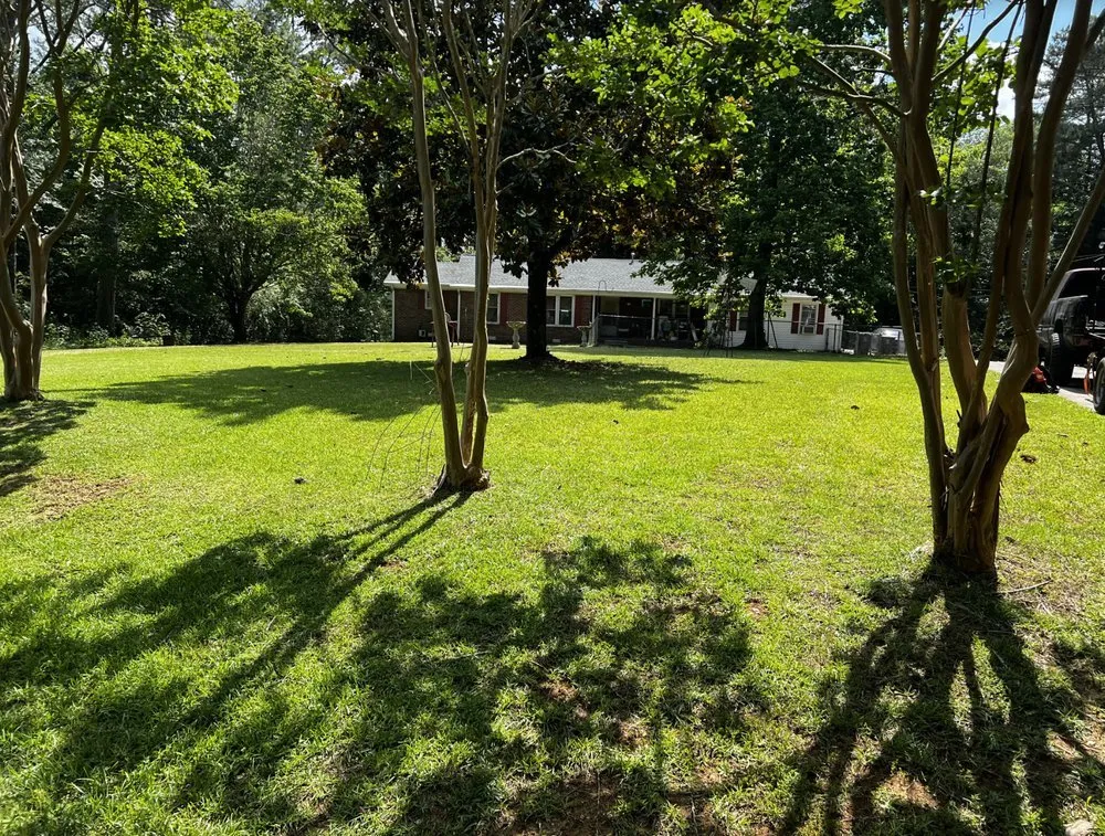 Trusted yard cleanup service in Douglasville, GA - Comprehensive Lawn Care