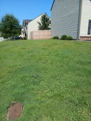 Comprehensive Lawn Care Logo