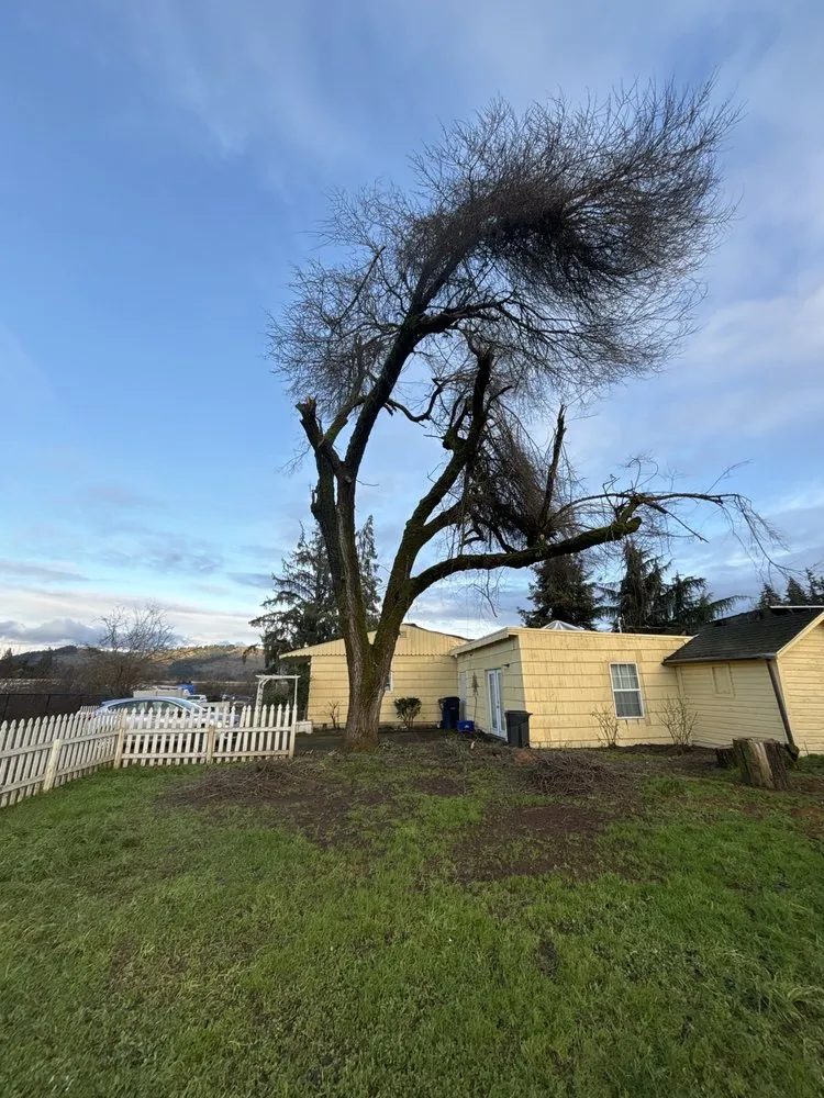 Top-rated garden landscaping near you across Springfield, OR - Compton Landscapes and Design