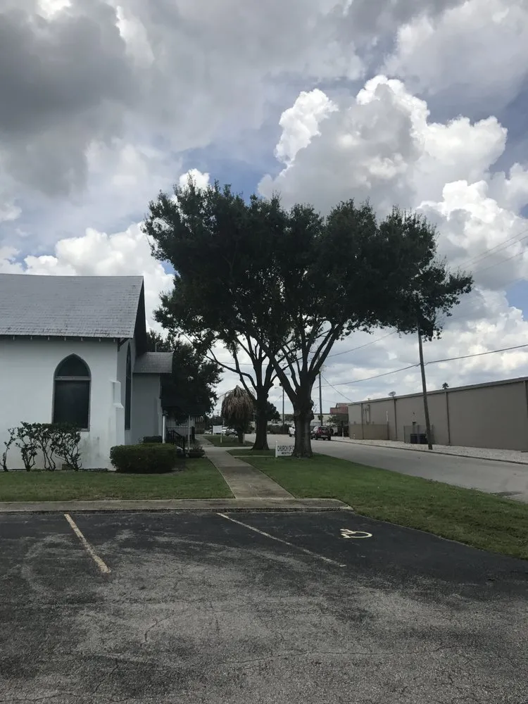 Professional yard maintenance for year-round maintenance in Sebring, FL by Compton Lawn & Property Services