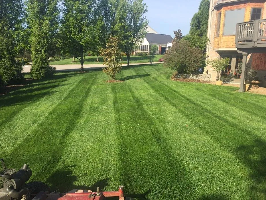 Affordable landscape installation for beautiful yards across Caseyville, IL - Compton Lawn Care