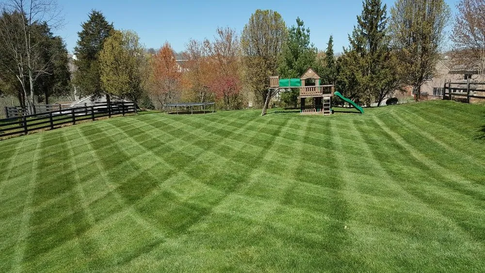 Local landscape installation for residential properties across Caseyville, IL - Compton Lawn Care