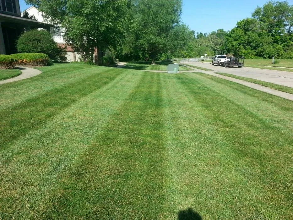 Professional landscape design in Caseyville, IL - Compton Lawn Care