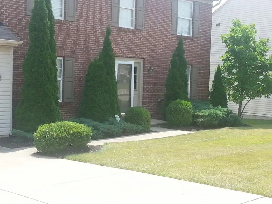 Professional landscape installation experts serving Caseyville, IL - Compton Lawn Care