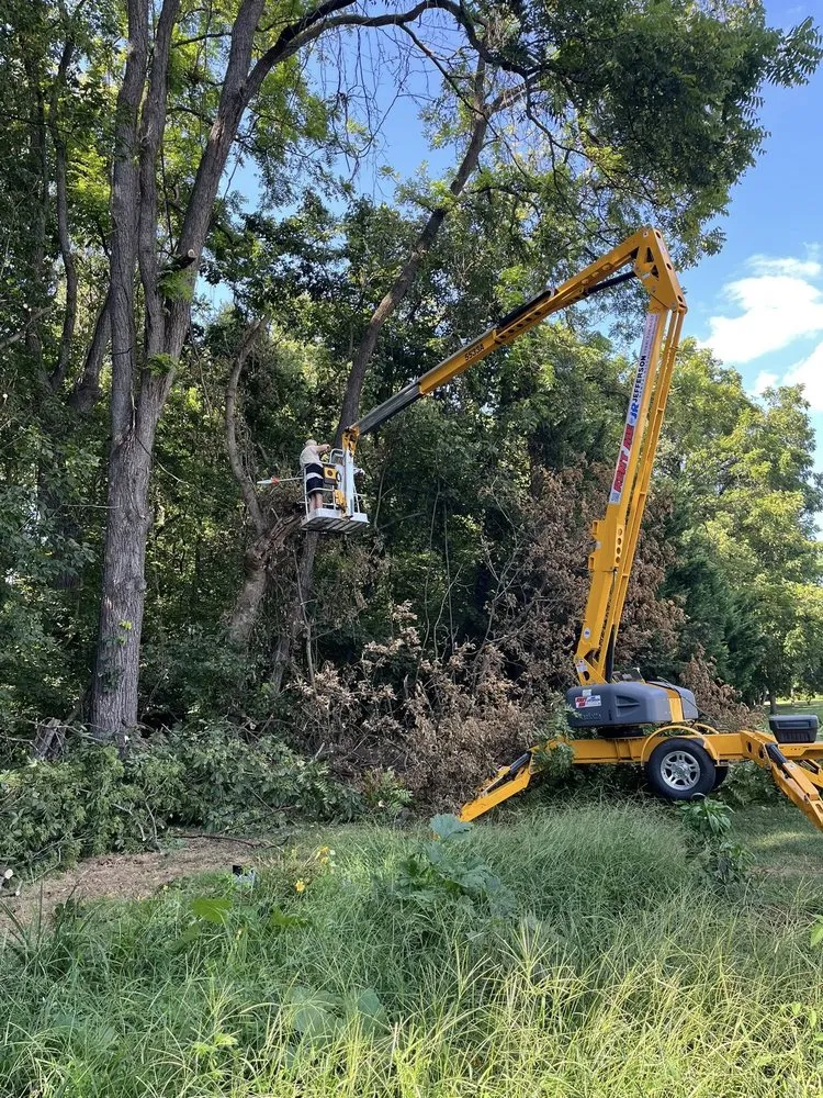 Affordable outdoor landscaping with custom design across Martinsburg, WV - Compton Lawn Care