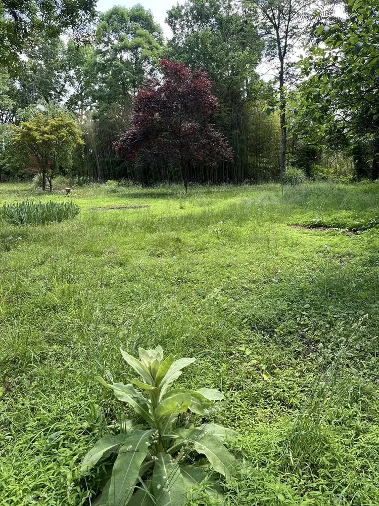 Local landscape installation in Martinsburg, WV - Compton Lawn Care