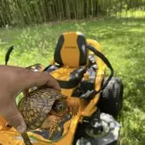 Top-rated yard cleanup service in Martinsburg, WV - Compton Lawn Care