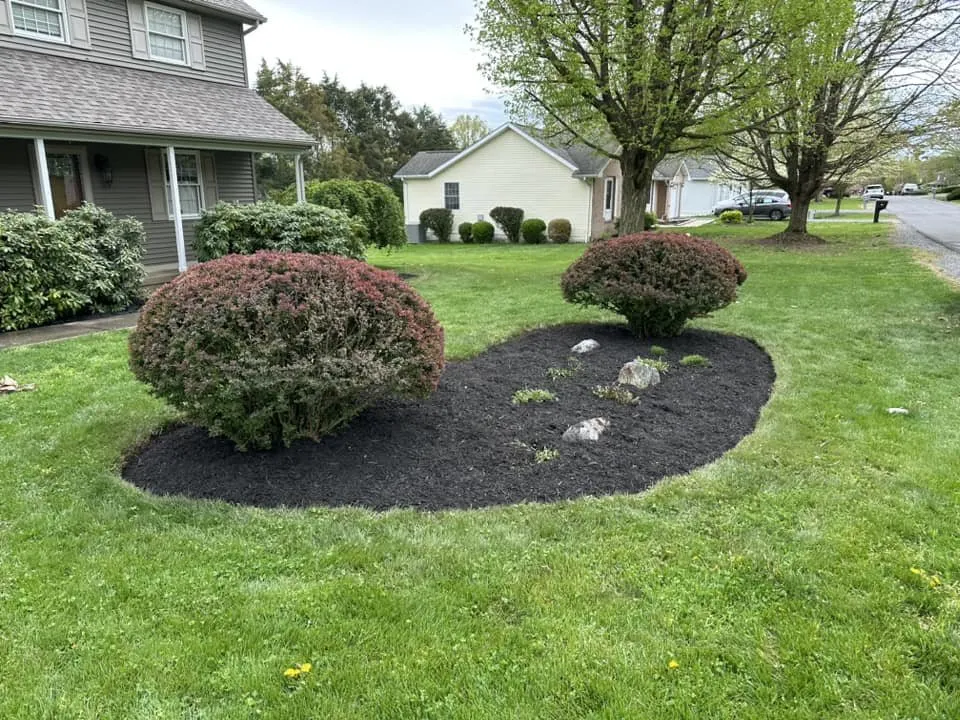 Expert yard cleanup service in Martinsburg, WV by Compton Lawn Care