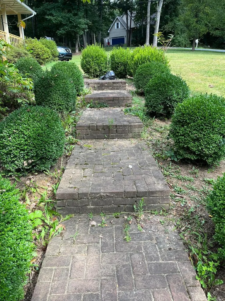 Local yard cleanup service in Martinsburg, WV by Compton Lawn Care