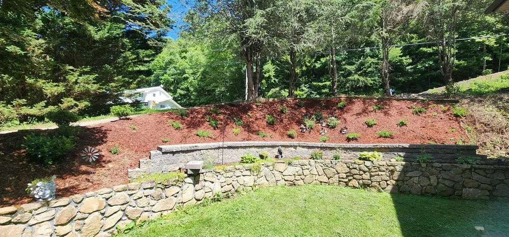 Expert yard cleanup service in Mountain City, TN - Compton's Consulting and Services