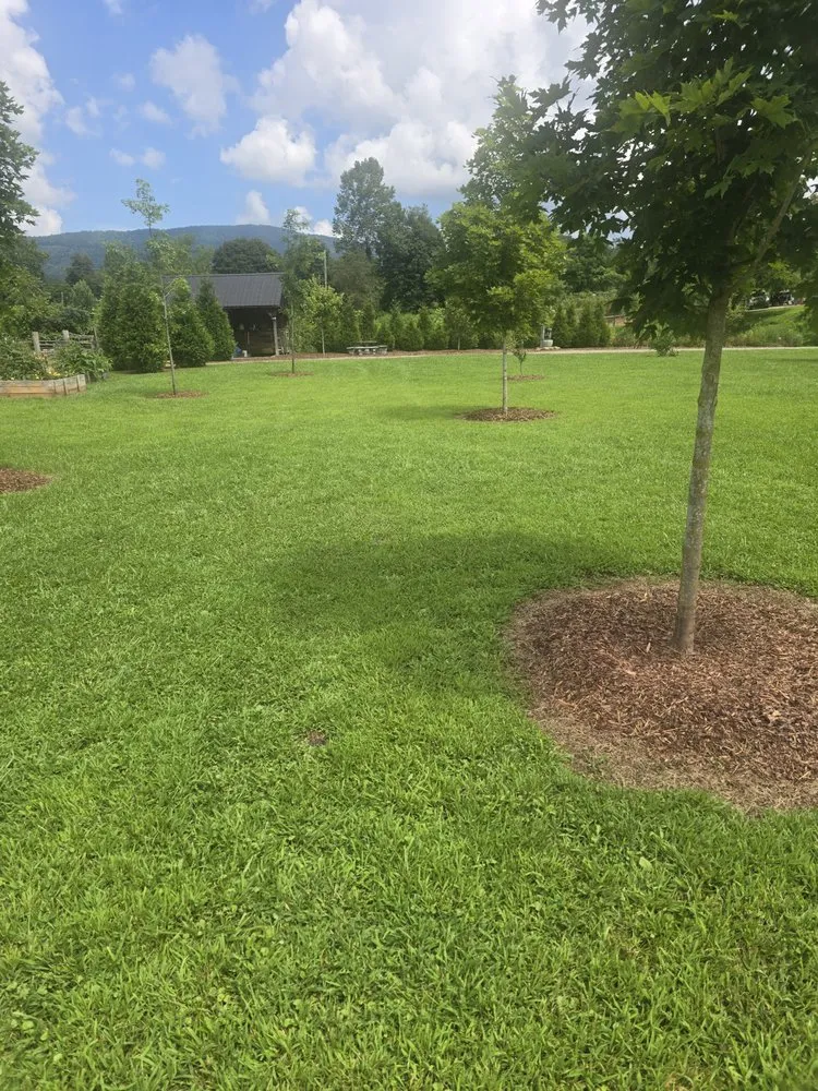 Local residential landscaping experts serving Mountain City, TN - Compton's Consulting and Services
