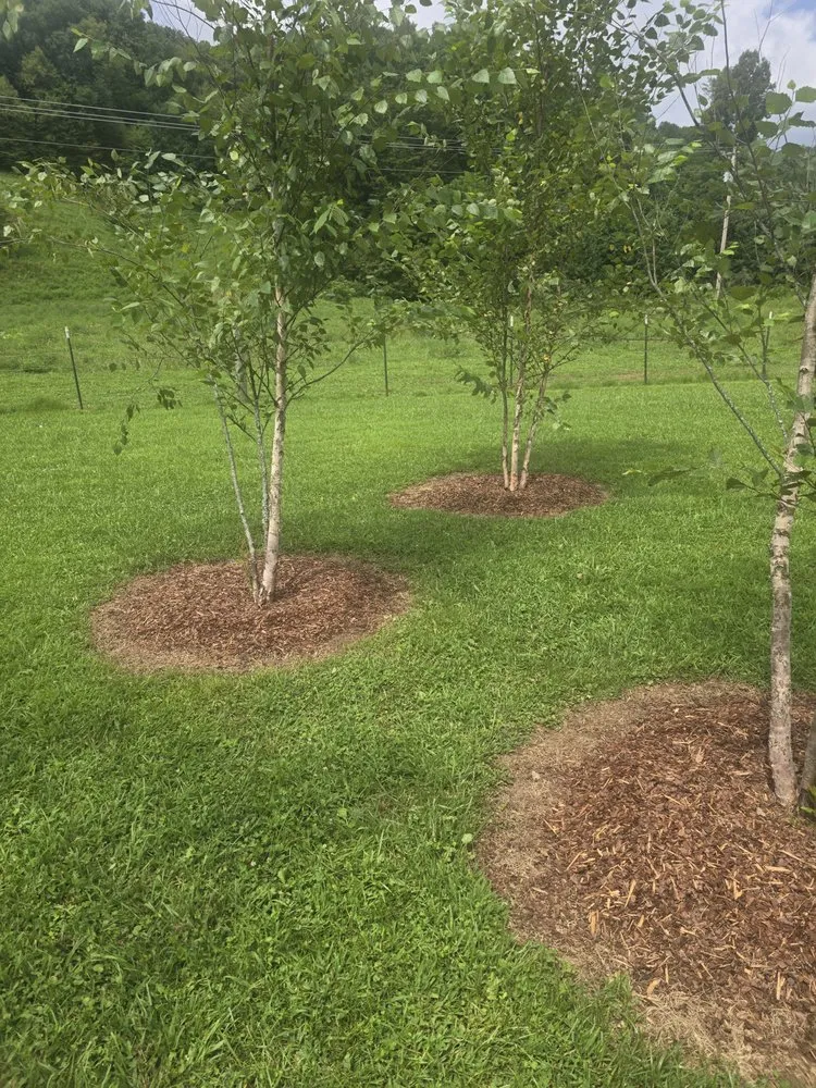 Top-rated lawn mowing service in Mountain City, TN - Compton's Consulting and Services