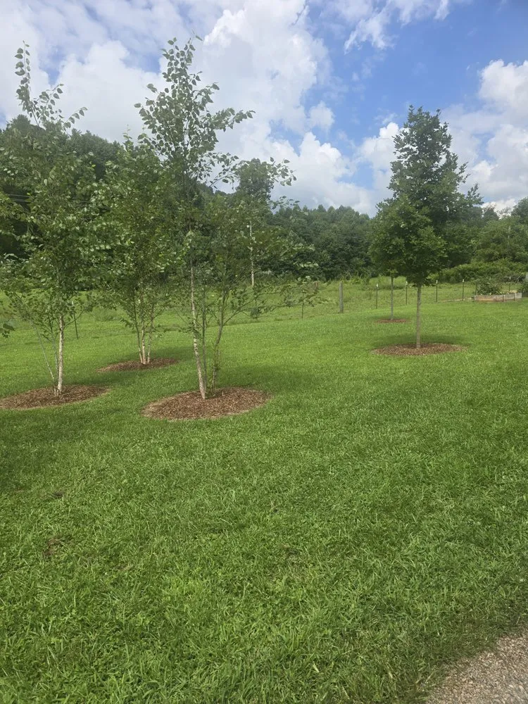 Professional landscape installation in Mountain City, TN by Compton's Consulting and Services