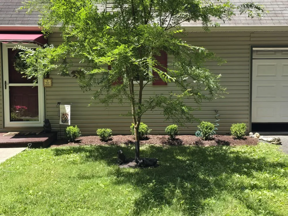 Local yard maintenance experts serving Mountain City, TN - Compton's Consulting and Services