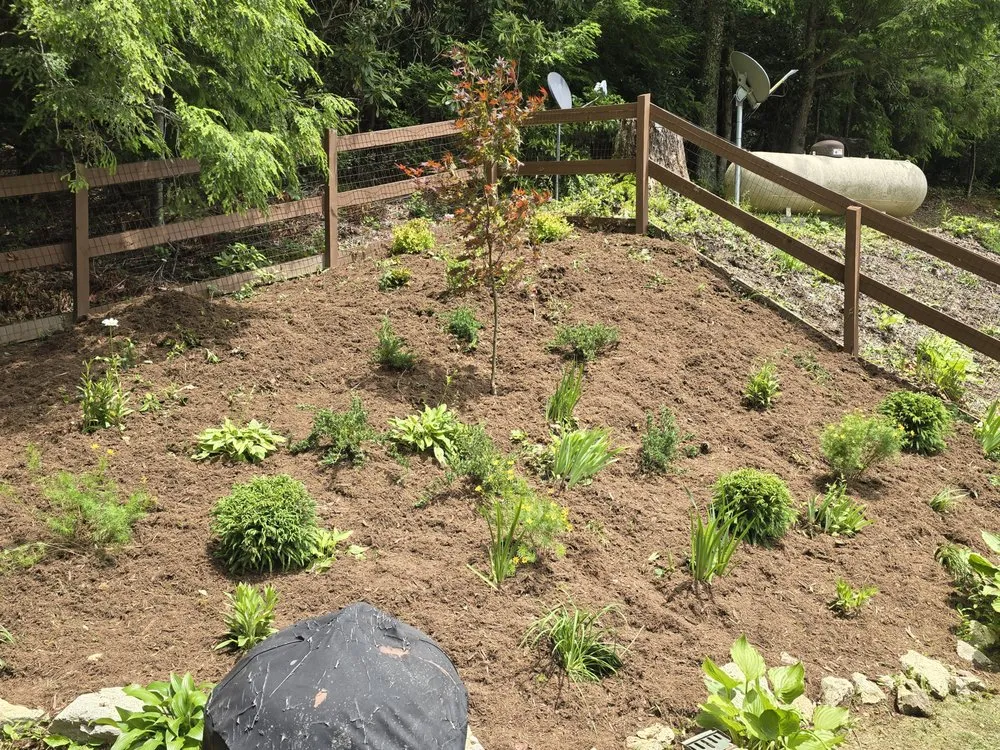 Professional lawn care service for homes in Mountain City, TN by Compton's Consulting and Services