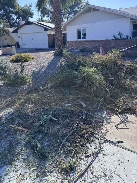 Professional lawn care service in Glendale, AZ - Comptons Disposal Services