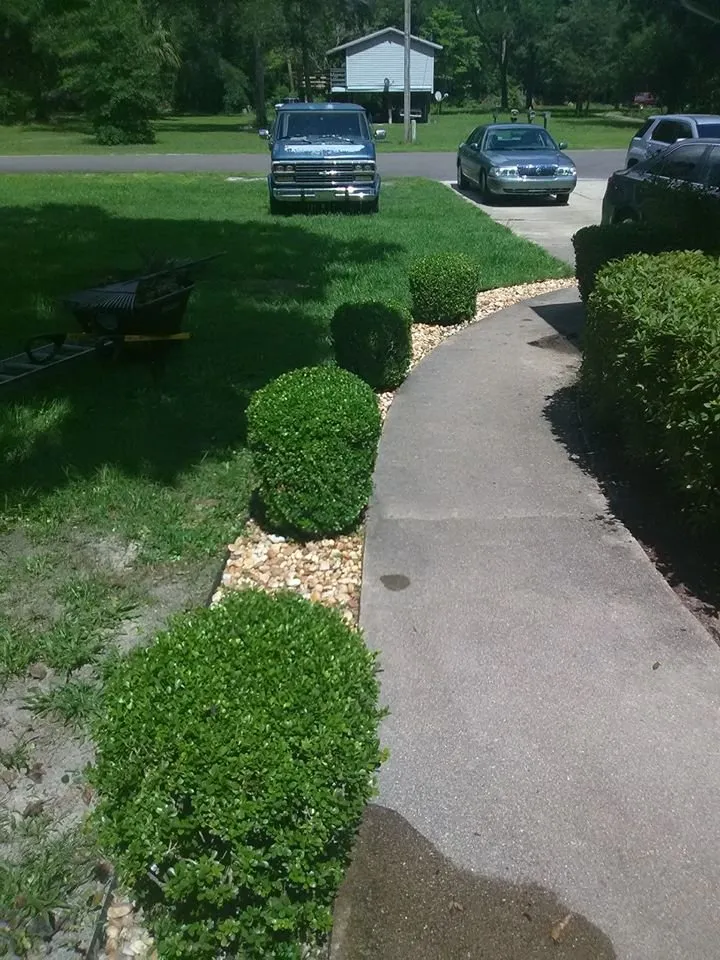 Top-rated yard cleanup service in Bronson, FL - Comstock Landscaping Yard Maintenance & Nursery