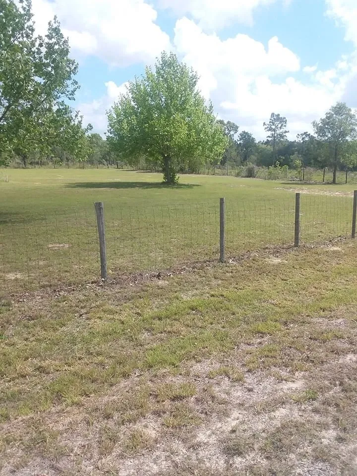 Custom outdoor landscaping in Bronson, FL - Comstock Landscaping Yard Maintenance & Nursery