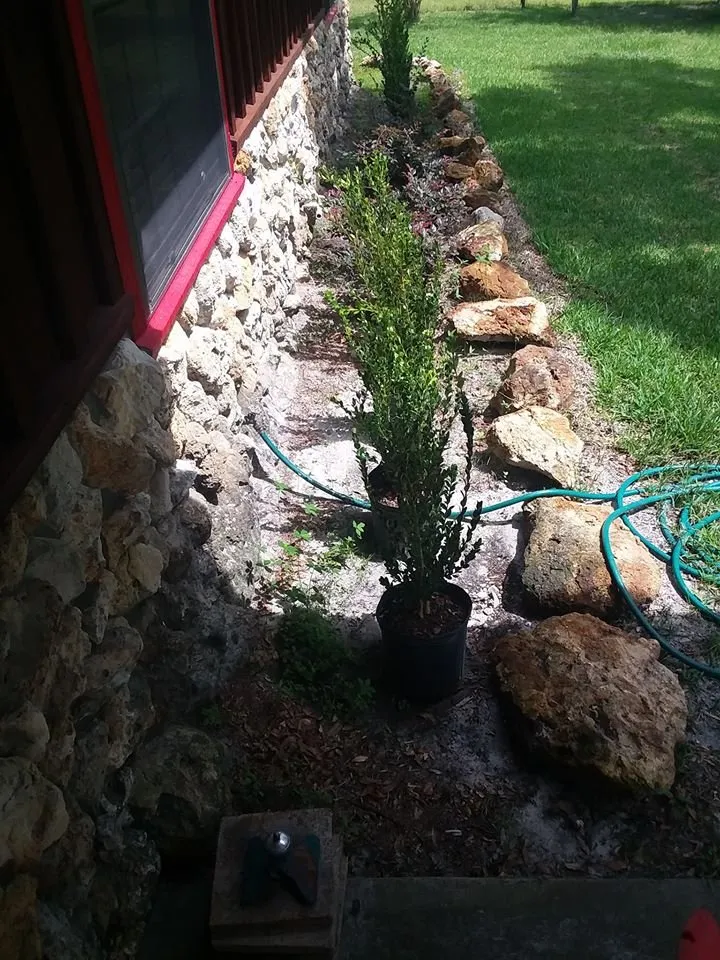 Trusted yard maintenance experts serving Bronson, FL - Comstock Landscaping Yard Maintenance & Nursery