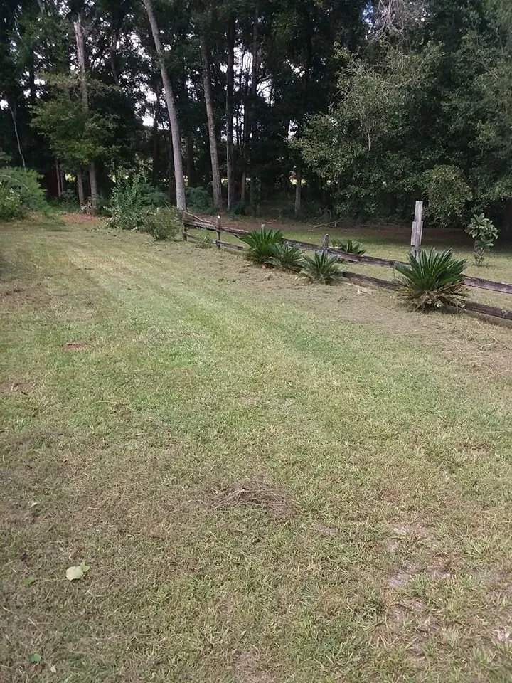 Custom lawn care service experts serving Bronson, FL - Comstock Landscaping Yard Maintenance & Nursery