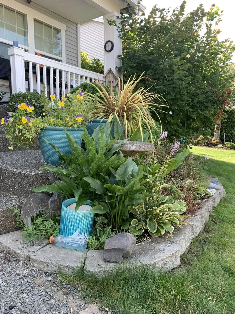 Expert yard maintenance in Monroe, WA by Con Amor Landscaping