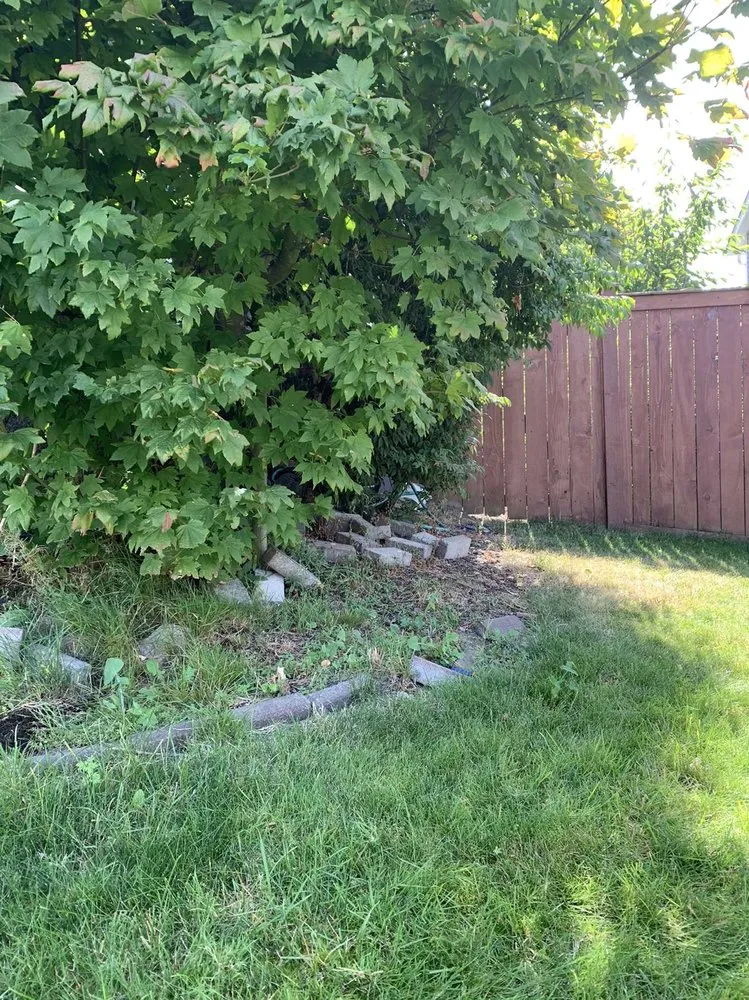 Affordable lawn mowing service in Monroe, WA by Con Amor Landscaping