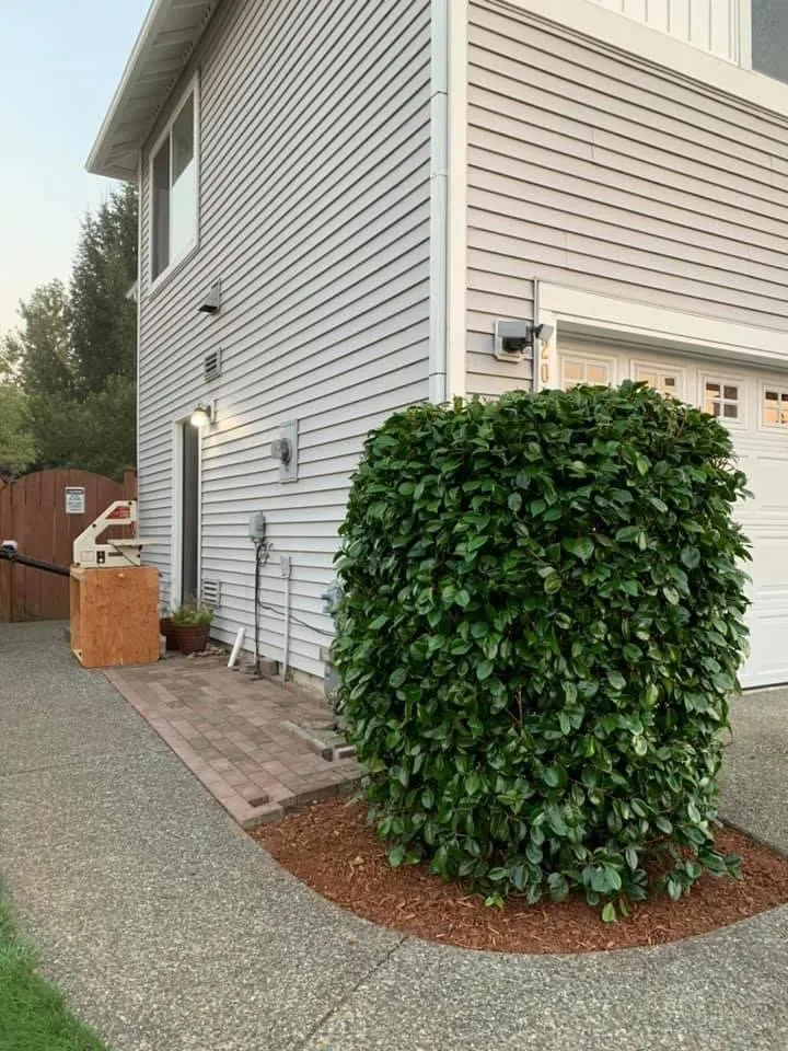 Expert lawn care service for beautiful yards across Monroe, WA - Con Amor Landscaping