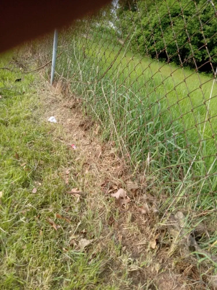 Reliable residential landscaping for homes across Battle Creek, MI - Conant & Family Lawn Care & Landscaping