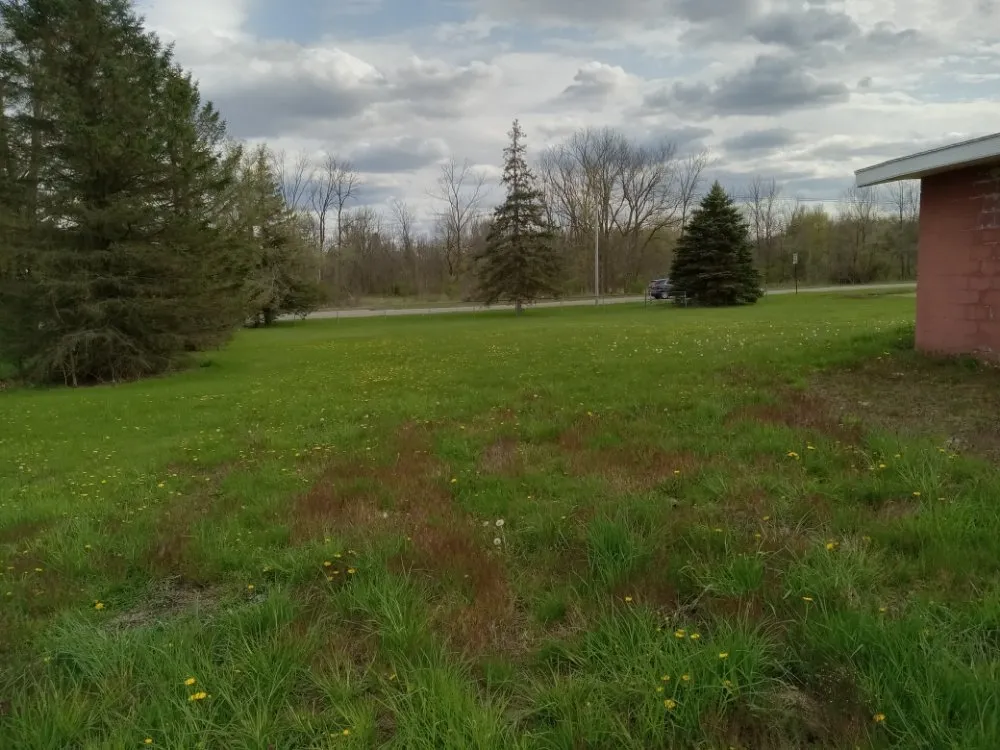 Local yard cleanup service in Battle Creek, MI - Conant & Family Lawn Care & Landscaping