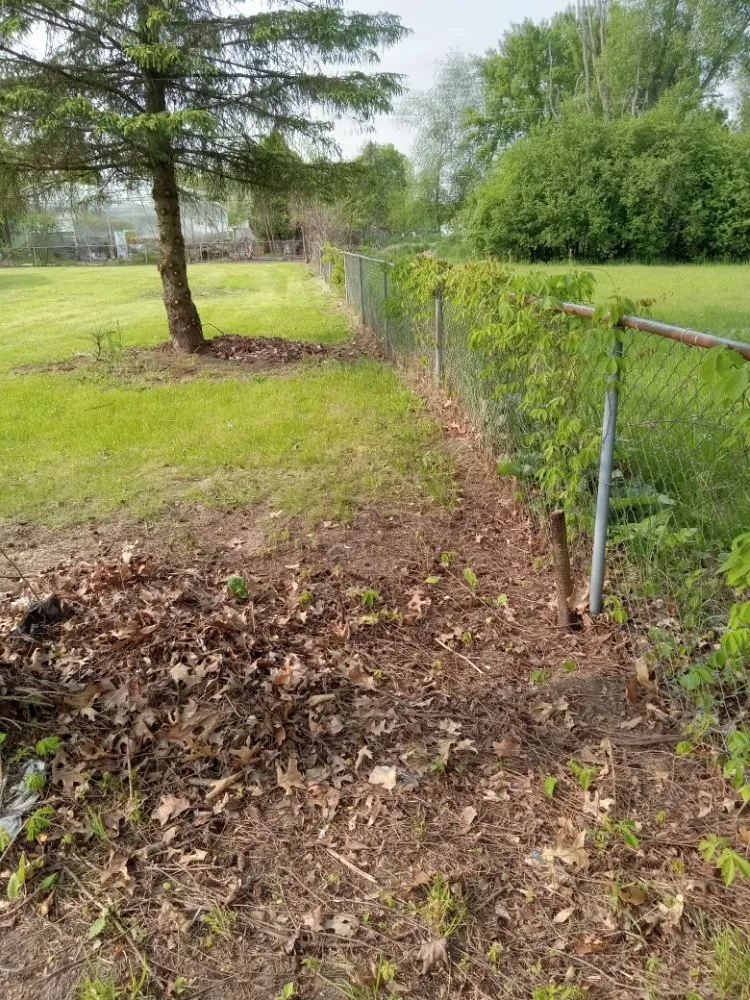 Custom yard maintenance in Battle Creek, MI by Conant & Family Lawn Care & Landscaping