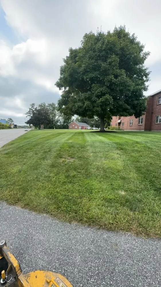 Local yard cleanup service in Windham, ME by Conant Property Landscaping