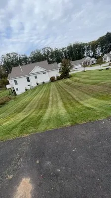 Conant Property Landscaping