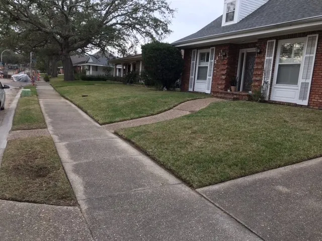 Trusted yard cleanup service for year-round maintenance across New Orleans, LA - Conaway and Daniel's Reliable Lawn Care Services